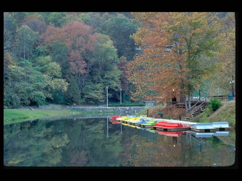 Paddle_Boats - JCDAILEY