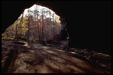 Cave View
