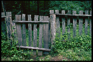 Green Gate