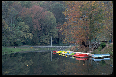 Paddle Boats