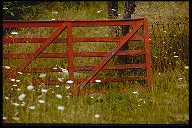 Red Gate